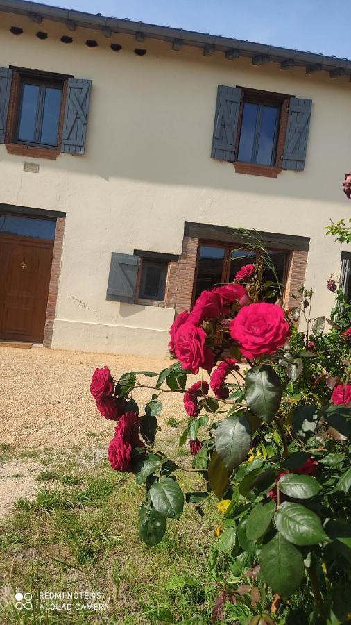 Ferme Du Bois Du Pouget Villa La Salvetat-Belmontet Kültér fotó