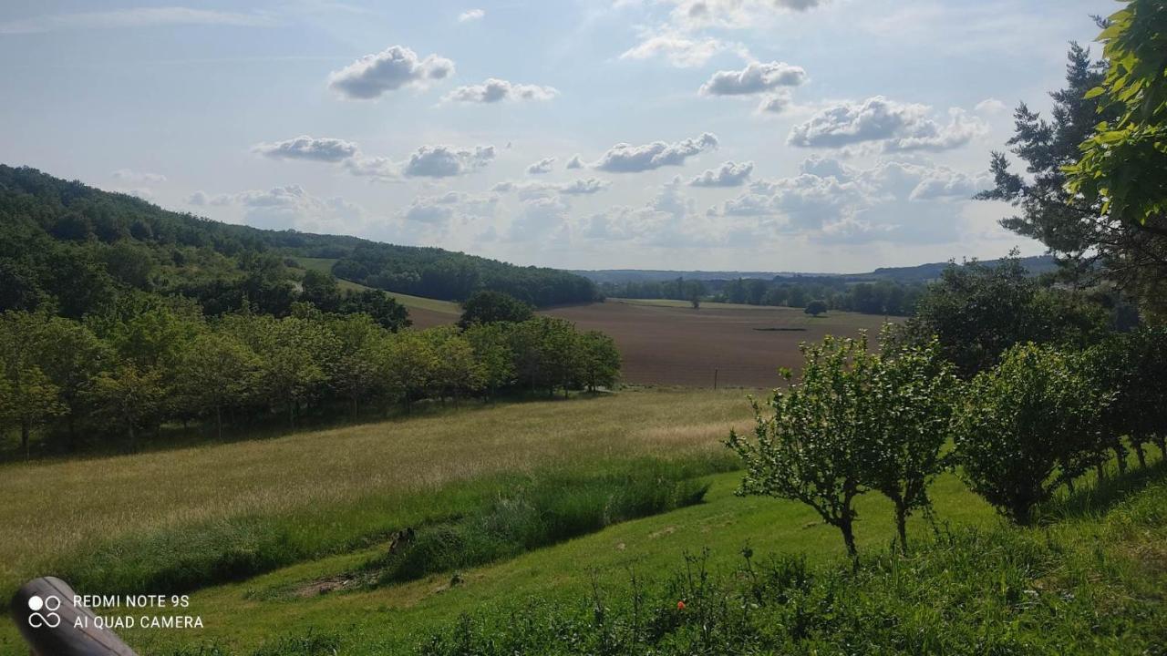 Ferme Du Bois Du Pouget Villa La Salvetat-Belmontet Kültér fotó