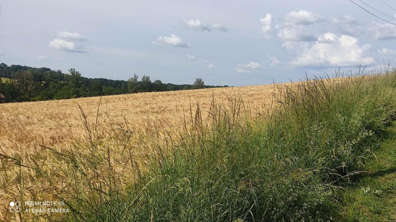 Ferme Du Bois Du Pouget Villa La Salvetat-Belmontet Kültér fotó